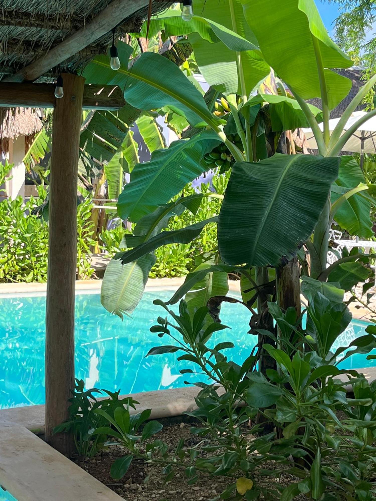 Villas Tikuch Dış mekan fotoğraf