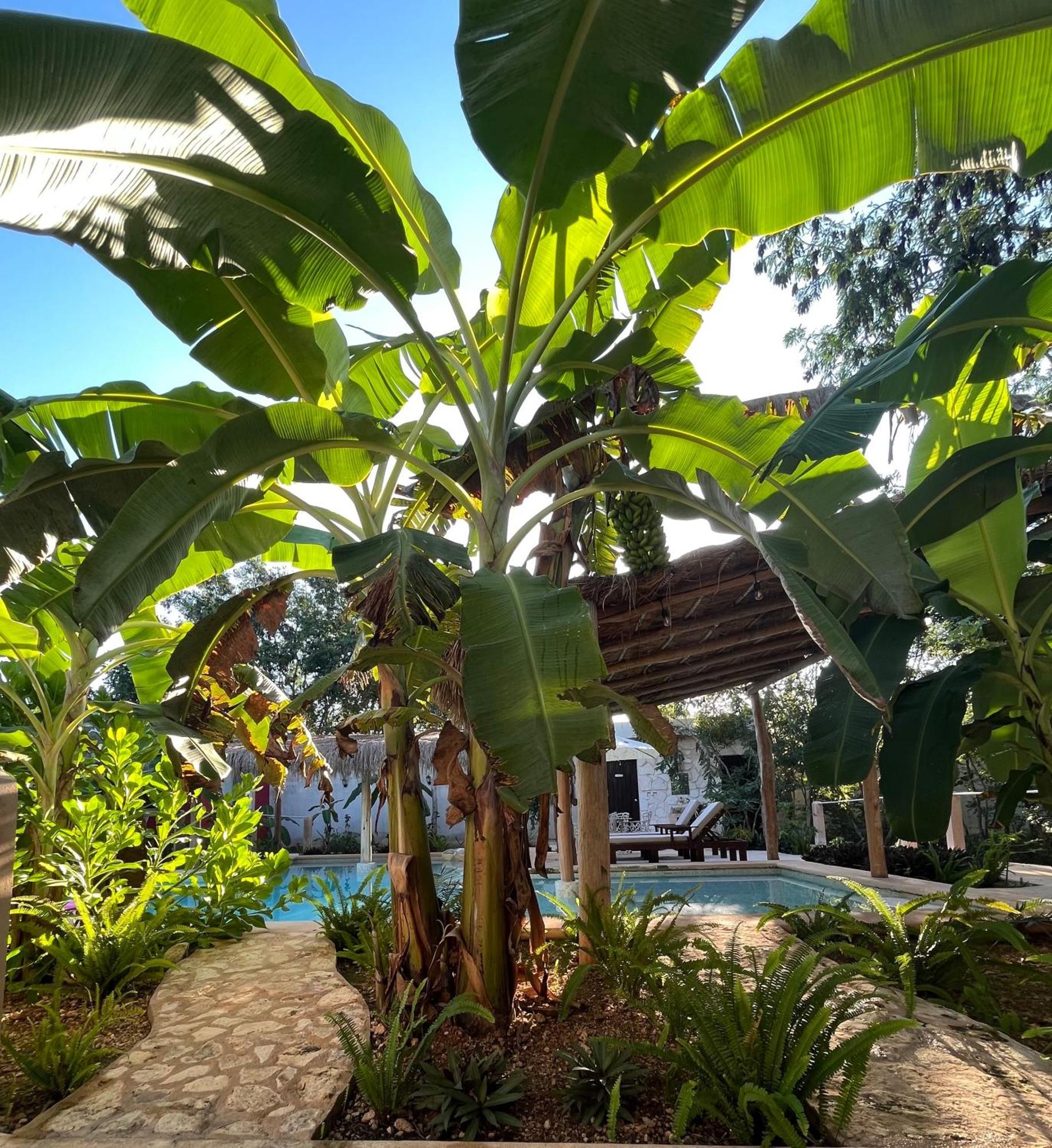 Villas Tikuch Dış mekan fotoğraf